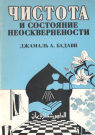 Чистота и состояние неосквернености