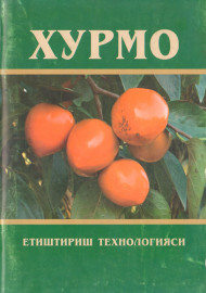 Хурмо етиштириш технологияси