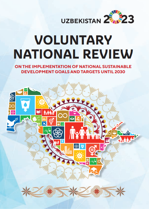 VOLUNTARY  NATIONAL REVIEW