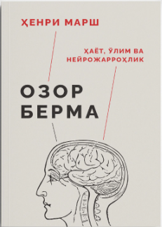 Озор берма