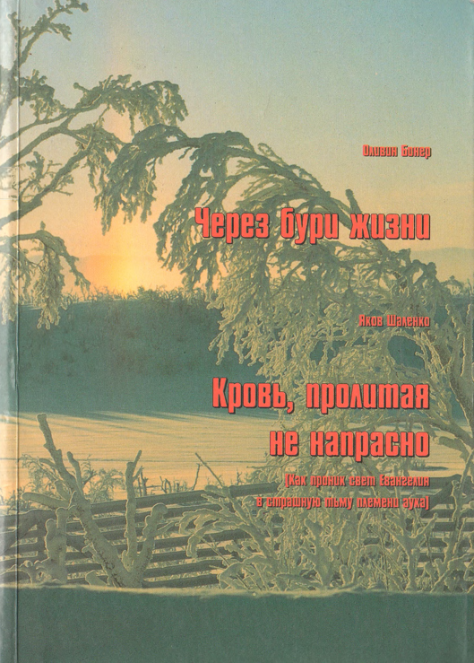 Через бури жизни. Кровь, пролитая не напрасно
