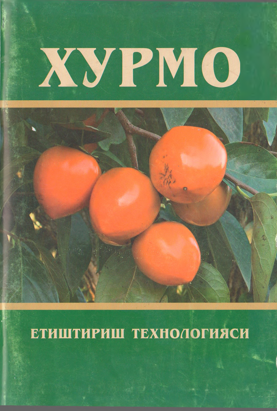 Хурмо етиштириш технологияси